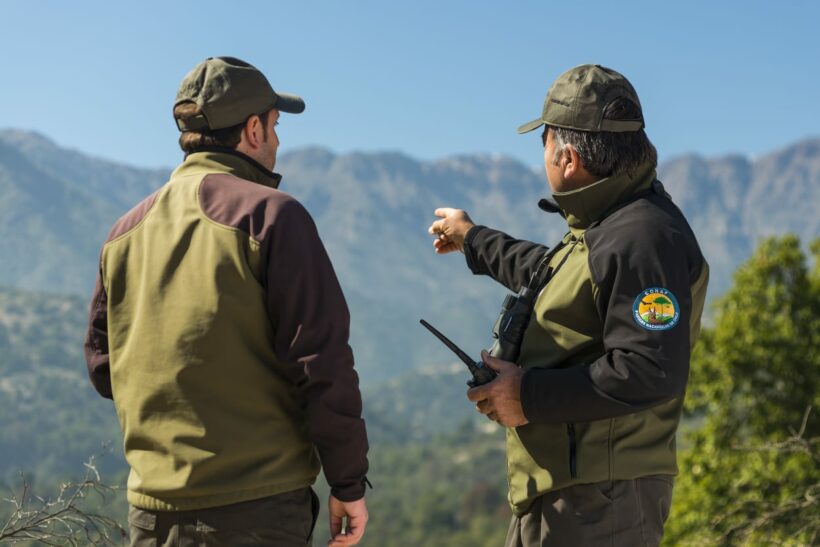 31 De Julio Día Mundial De Los Guardas Forestales InfoprÁctica Noticias De Paso De Los 9089